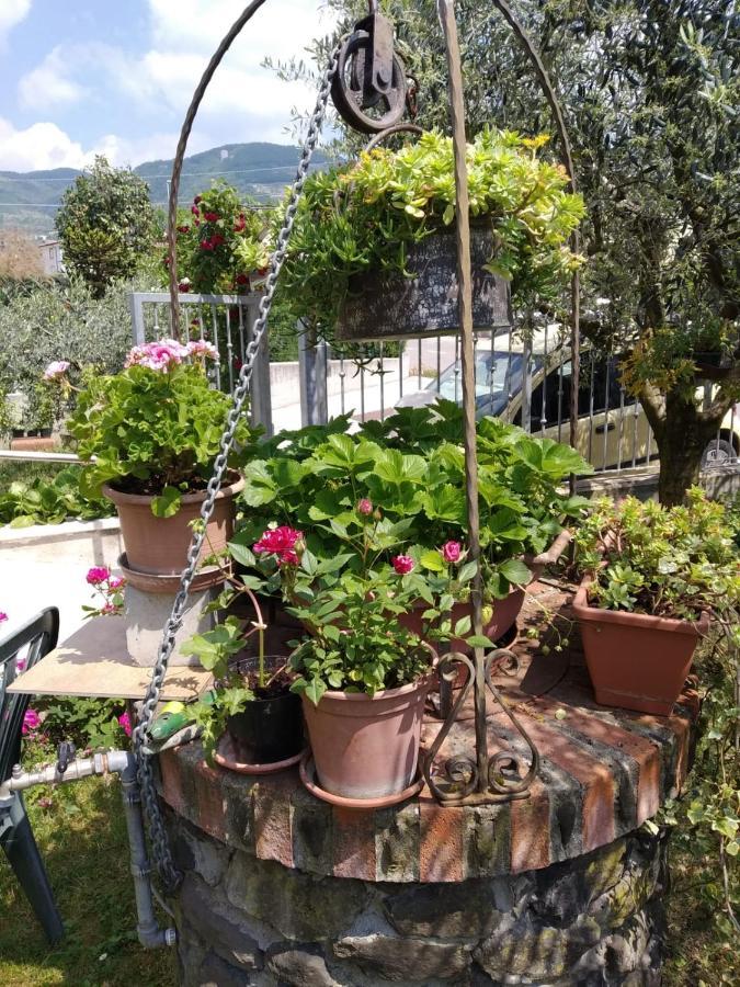 Bed and Breakfast Al Pozzo Negrar Exteriér fotografie