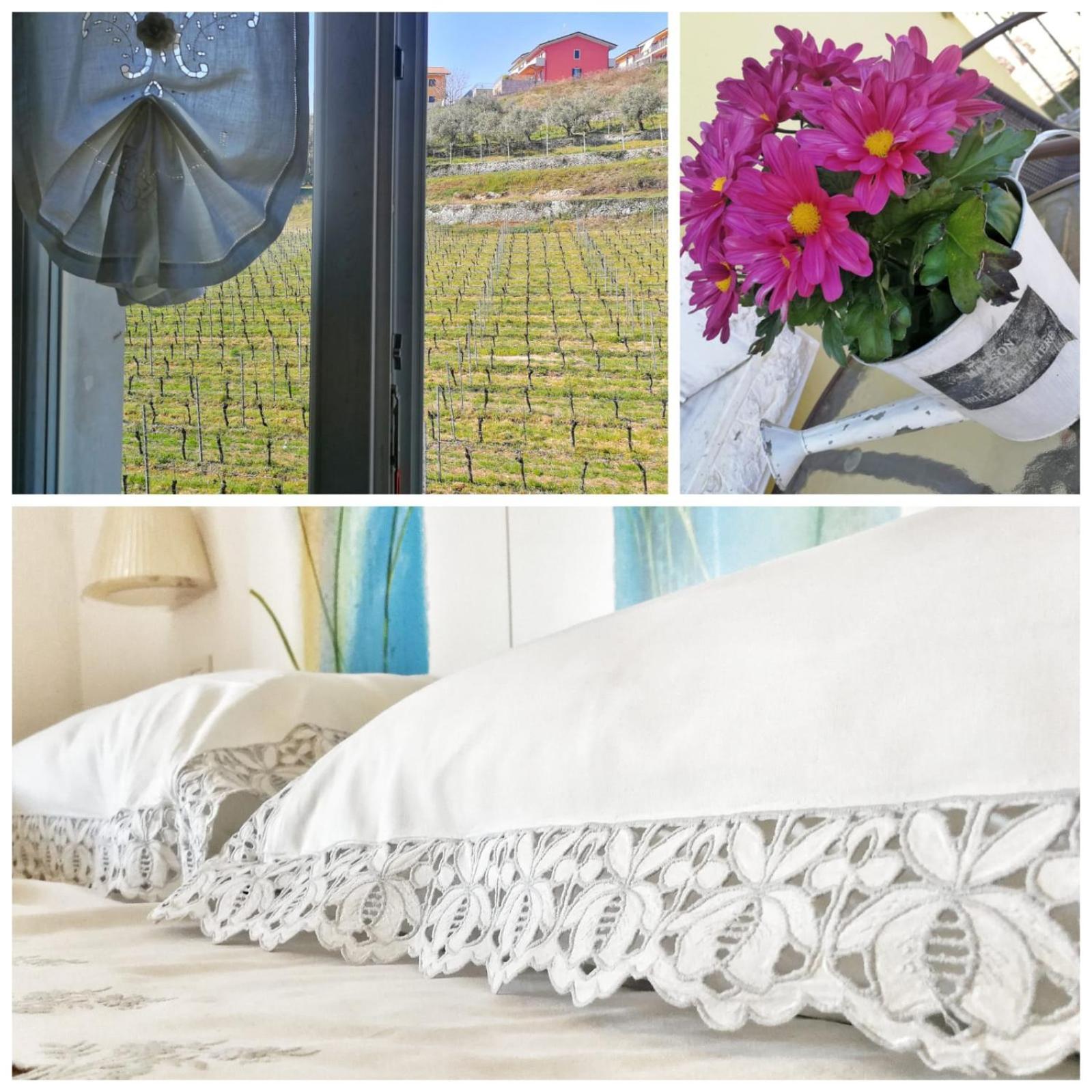 Bed and Breakfast Al Pozzo Negrar Exteriér fotografie